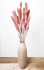 Setaria Trockenblumen