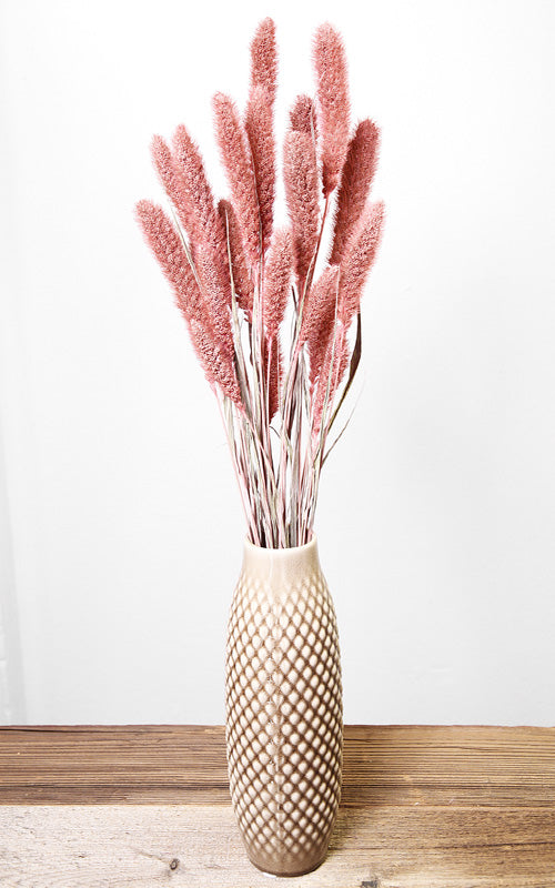 Setaria Trockenblumen