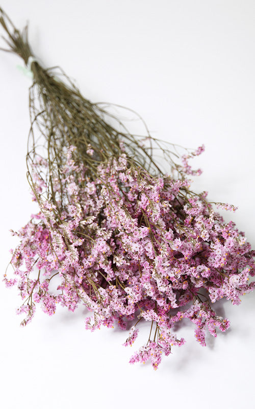 Limonium Trockenblumen