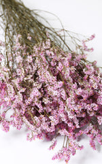 Limonium Trockenblumen