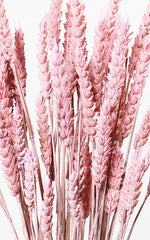 Weizen rosa Bund | ca. 50 cm lang