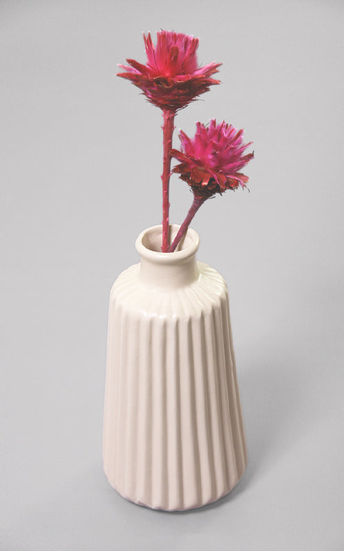 Vase Trockenblumen Misses Flower